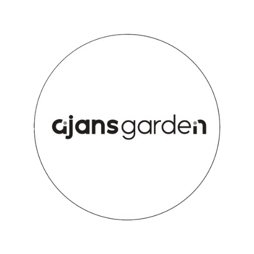 Web Tasarım